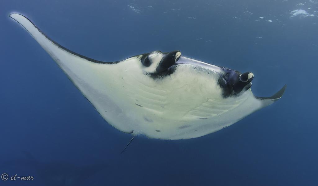 Kubu Indah Dive & Spa Resort Tulamben Zewnętrze zdjęcie
